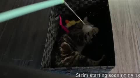 Booker Baxton online show from October 4, 3:04 am