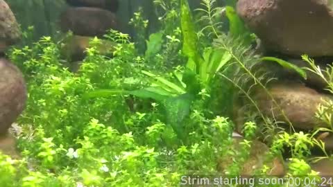 Booker Baxton online show from October 5, 3:05 am