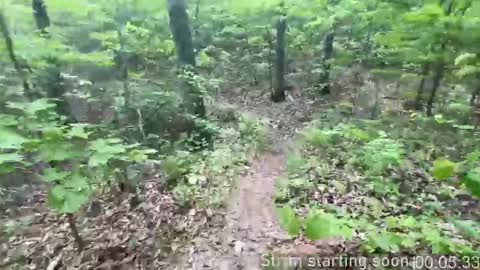 Booker Baxton online show from October 9, 3:04 am