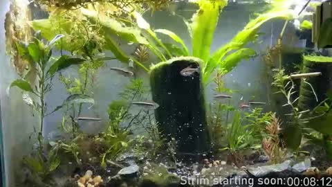 Booker Baxton online show from November 4, 4:00 am