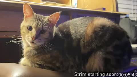 Booker Baxton online show from February 5, 4:06 am