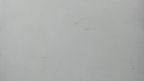 Maggie and Jay  online show from January 11, 7:05 pm