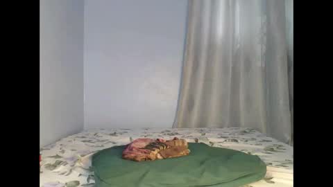 sandrah online show from September 26, 6:50 am