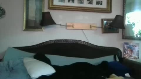 boredaf6678 online show from December 16, 10:50 am