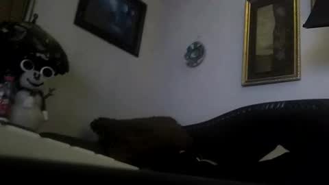 boredaf6678 online show from December 23, 9:05 am