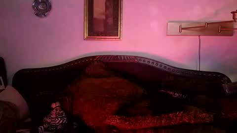 boredaf6678 online show from February 12, 10:48 pm