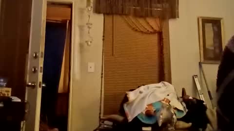 boredaf6678 online show from November 22, 11:59 pm