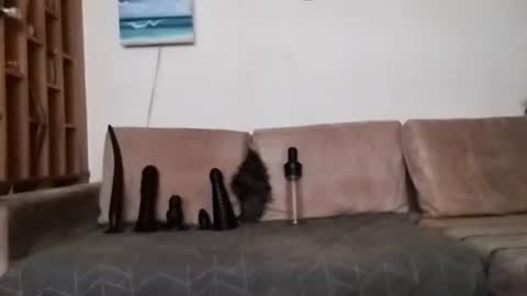 Snapshot of boy7oyy chatting on January 31, 7:29 pm Bes7assquirt online show from January 31, 7:29 pm