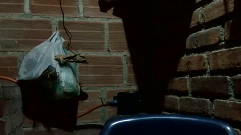 Snapshot of boycumlatino21 chatting on October 7, 2:53 am Boy online show from October 7, 2:53 am