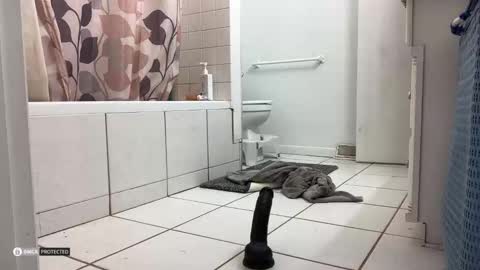 boysetsfire34 online show from October 8, 5:16 am