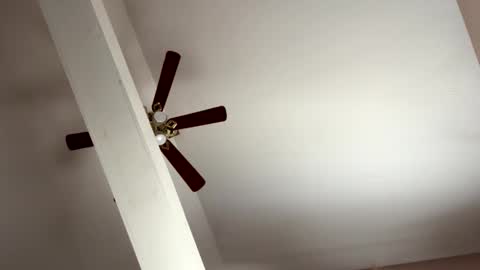 boysetsfire34 online show from November 8, 5:23 pm