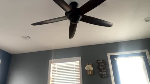 boytoy8969 online show from December 23, 3:01 pm