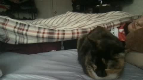 boywithbug online show from February 13, 10:54 pm