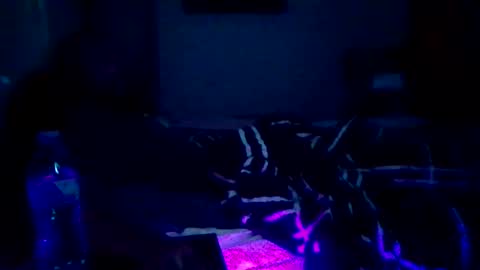 GuitarBrad1989 online show from June 10, 9:19 am