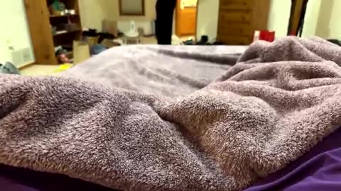 Snapshot of brandondot chatting on December 16, 7:26 am brandondot online show from December 16, 7:26 am