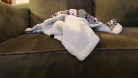 Snapshot of brandondot chatting on December 31, 8:04 am brandondot online show from December 31, 8:04 am