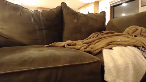 Snapshot of brandondot chatting on February 3, 5:51 am brandondot online show from February 3, 5:51 am