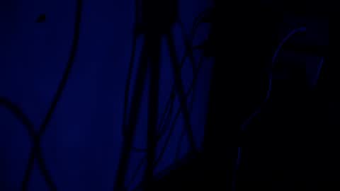 Brenda online show from July 28, 8:52 pm