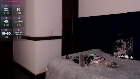 Snapshot of brigith24 chatting on November 7, 3:06 am Brigith online show from November 7, 3:06 am