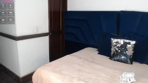 Snapshot of brigith24 chatting on November 16, 3:56 am Brigith online show from November 16, 3:56 am