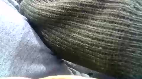 Josh online show from December 31, 2:29 am