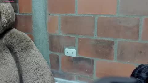 Briana69 online show from March 6, 2:41 am