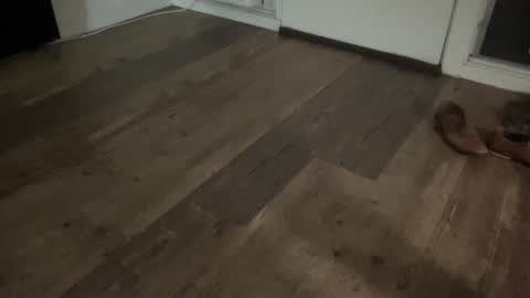 Snapshot of brokehungcollegeguy chatting on February 13, 5:47 am Broke Hung College Guy online show from February 13, 5:47 am