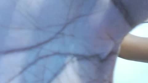 brownguy2505 online show from January 19, 12:53 pm