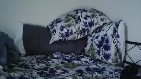 Snapshot of bruc12168 chatting on February 20, 12:04 pm Bruc12168 fit slim new makemecum bigdick edging online show from February 20, 12:04 pm