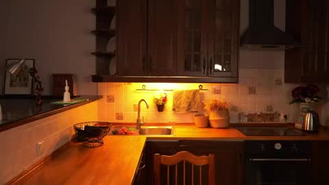 Tess online show from April 19, 6:10 pm