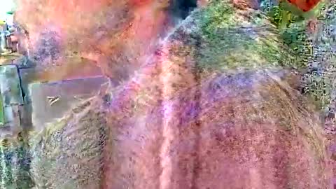 Steve... aka SkinnieDippin aka TimberTramp online show from April 2, 4:59 pm