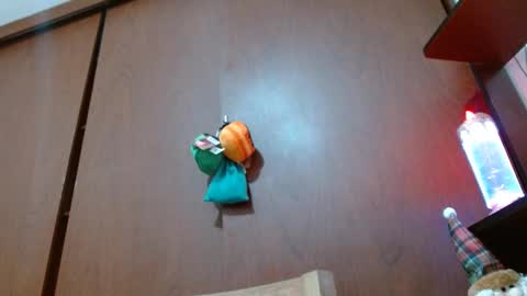 Snapshot of bryan_colen chatting on February 11, 4:24 pm Enjoy the best muscle straws online show from February 11, 4:24 pm