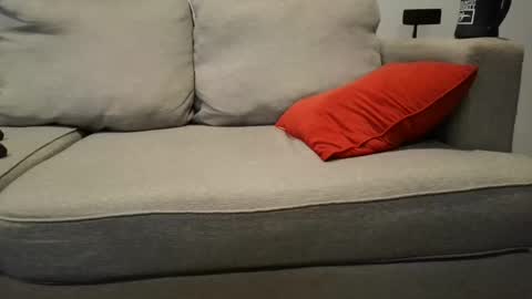 Snapshot of buck_camstar chatting on September 23, 2:42 pm Buck online show from September 23, 2:42 pm