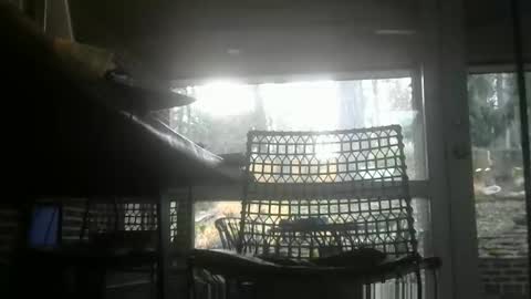 bulldog302w online show from January 14, 1:39 pm