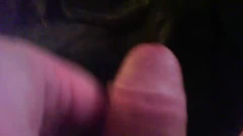 bullemoe online show from January 28, 2:32 am