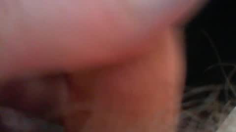 bullemoe online show from January 6, 12:20 pm