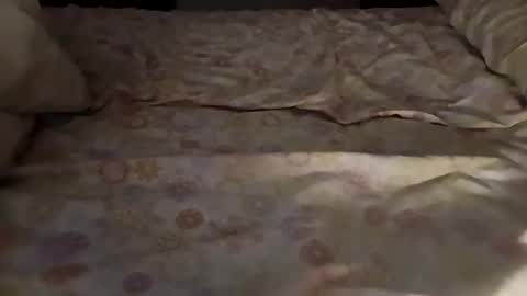 bullspain27266272 online show from March 3, 4:47 am