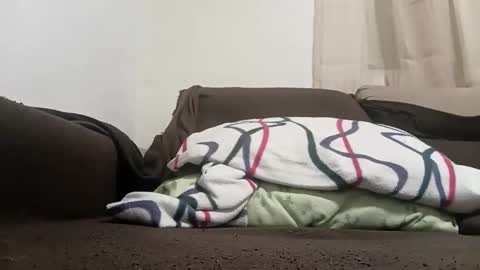 bullspain27266272 online show from February 10, 11:20 pm