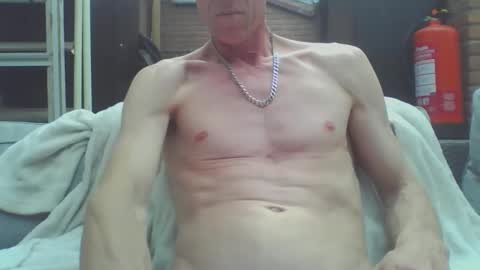 Dutch cock online show from May 4, 11:17 am