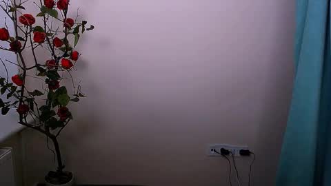 Snapshot of bunnybloom_ chatting on October 21, 4:13 am Ariel online show from October 21, 4:13 am