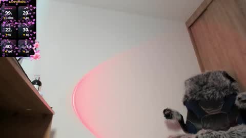 Sammy online show from October 25, 2:24 pm