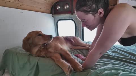 busbuddies online show from February 2, 4:54 pm