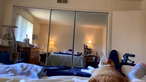 busty_2008 online show from March 20, 12:04 am