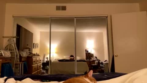 busty_2008 online show from March 27, 2:50 am