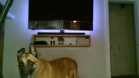 bwc44u online show from October 2, 2:07 am