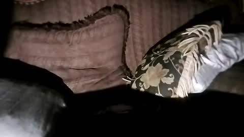 bxpapi69 online show from November 7, 6:46 am