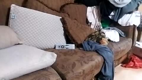 bxpapi69 online show from November 13, 1:26 am