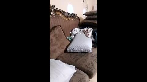 bxpapi69 online show from December 13, 10:26 pm