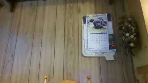 Snapshot of c4u58 chatting on February 1, 11:20 am c4u58 online show from February 1, 11:20 am