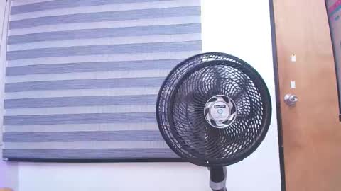 Snapshot of c_fox_ chatting on February 19, 3:06 am Carolina online show from February 19, 3:06 am